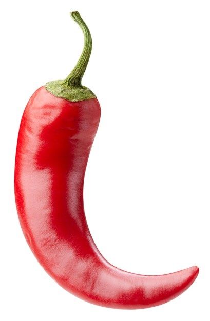 One chili hot pepper clipping path. fres... | Premium Photo #Freepik #photo #food #kitchen #color #cooking Chili Pepper Clipart, Growing Chili Peppers, Chocolate Bar Design, Bird Logo Design, Wedding Background Decoration, Cake Logo Design, Rainbow Fruit, Recipe Scrapbook, Food Clipart