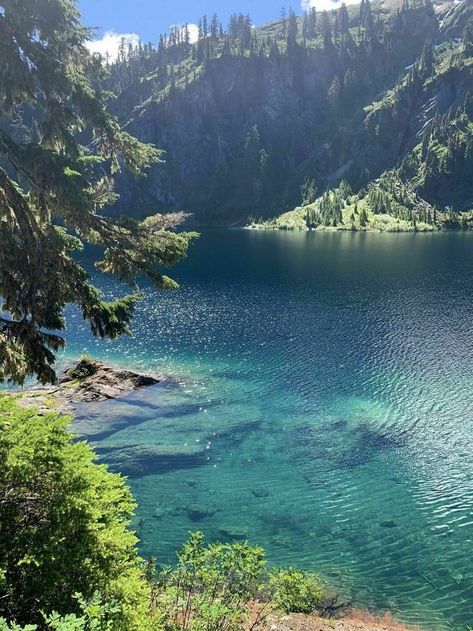 Lake In A Forest, Forest Island, Forest And Lake, Writing Images, Mount Baker, Washington Hikes, Backcountry Camping, Adventure Aesthetic, Boat Painting