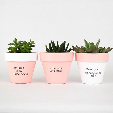 Blush Pink Decor, Kaktus Dan Sukulen, Alphabet Mugs, Plant Pot Design, Plant Pot Diy, Custom Planters, Painted Pots Diy, Painted Plant Pots, Painted Flower Pots