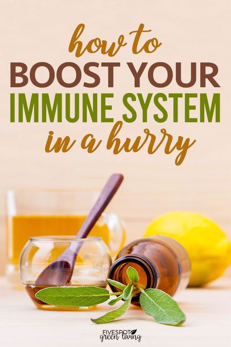 People are typically interested in just figuring out how they can get their immune system up as fast as possible, because they’re usually only looking for information on it when things are starting to go wrong. Lately, we all want to make sure that our bodies are working the best they can so we can fight off illness and viruses. Do you know how to boost your immune system quickly? #naturalhealth #immunesystem #naturalremedies Boost My Immune System, How To Boost Immunity, Build Immune System Fast, How To Build Immune System, How To Boost Immune System, Boost Immune System Naturally, Build Up Immune System, Building Immune System, Build Immunity