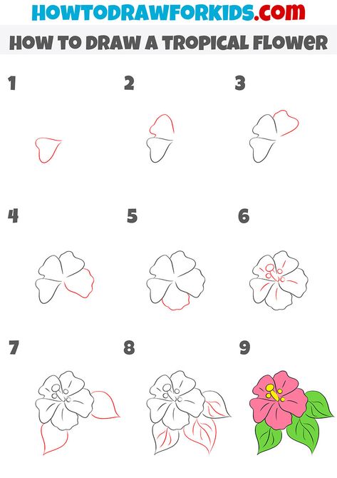 how to draw a tropical flower step by stepp Tropical Flower Doodle, Simple Tropical Drawings, Hibiscus Flower Drawing Tutorials, Hawaii Flower Painting Easy, Hibiscus Drawing Tutorial, How To Draw A Surfboard Step By Step, How To Draw Hawaiian Flowers Easy, Hawaiin Flowers Drawings, Hawaiian Flowers Drawing Step By Step