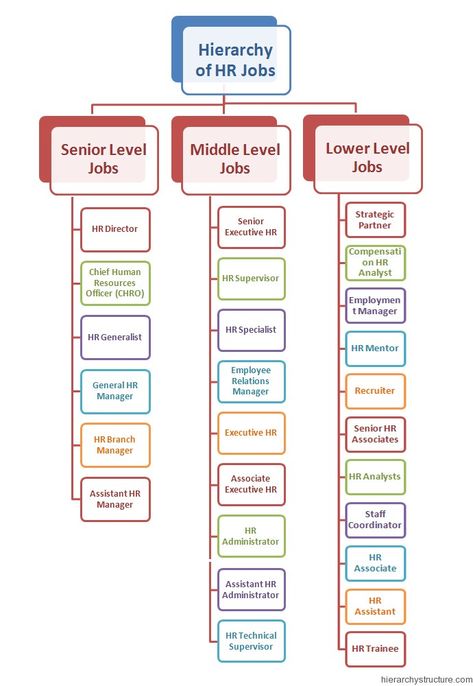 The Hierarchy of HR Job Levels.These are the dedicated professionals who are responsible to take care of the human resources department for any corporation. Hr Career Path, Human Resource Outfits, Employee Relations Human Resources, Human Resources Logo, Hr Resources, Human Resource Management Templates, Hr Metrics, People Analytics, Human Resources Quotes