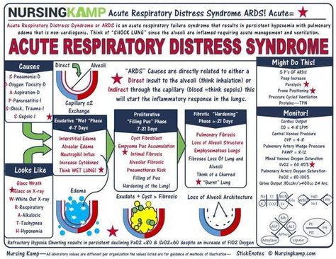 Acute Respiratory Distress Syndrome #medschool #doctor #medicalstudent - Image Credits: Nursing KAMP Acute Respiratory Distress, Respiratory Therapy Student, Acute Respiratory Failure, Respiratory Distress, Nurse Study Notes, Nursing Mnemonics, Medical Surgical Nursing, Neonatal Nurse, Pharmacology Nursing