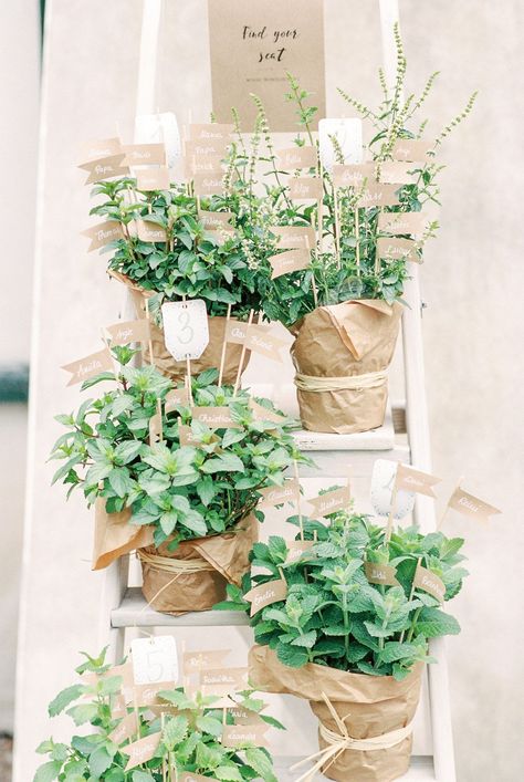 Backyard Herbs, Faux Flowers Arrangements, Herb Centerpieces, Herb Wedding, Diy Wedding Table, Garden Herbs, Country Garden Weddings, Wedding Sparrow, Wood Ladder