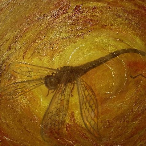 Dragonfly in Amber An ill fated dragonfly forever trapped and preserved in fossilised tree resin.. #dragonfly #dragonflies #amber #myart #artwork #art #fossil  Acrylics and impasto. Resin Dragonfly, Dragonfly Painting, Dragonfly In Amber, Amber Resin, Dragonfly Art, Round Beach Towels, Art Archive, Featured Art, Dragonflies