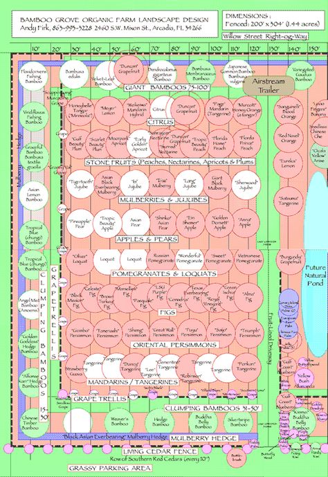 Hawaii Homestead, Orchard Planning, Orchard Layout, Mini Orchard, Professor Sprout, Orchard Ideas, Arcadia Florida, Land Planning, Farm Orchard