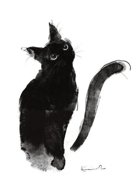 Cat Art, A Cat, Black Cat, Black And White, White, Black, Art