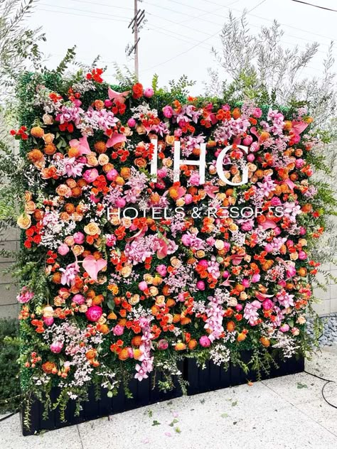 Flower Hedge Wall, Boxwood Room Divider, Branded Flower Wall, Hedge Wall Diy, Real Flower Wall, Hedge Wall With Flowers, Boxwood Wall Bedroom, Outdoor Selfie Wall, Hedge Backdrop Wedding