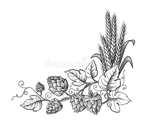 Wheat Tattoo, Hop Tattoo, Beer Tattoos, Hops Plant, Beer Illustration, Beer Hops, Beer Art, Plant Tattoo, Painted Hats