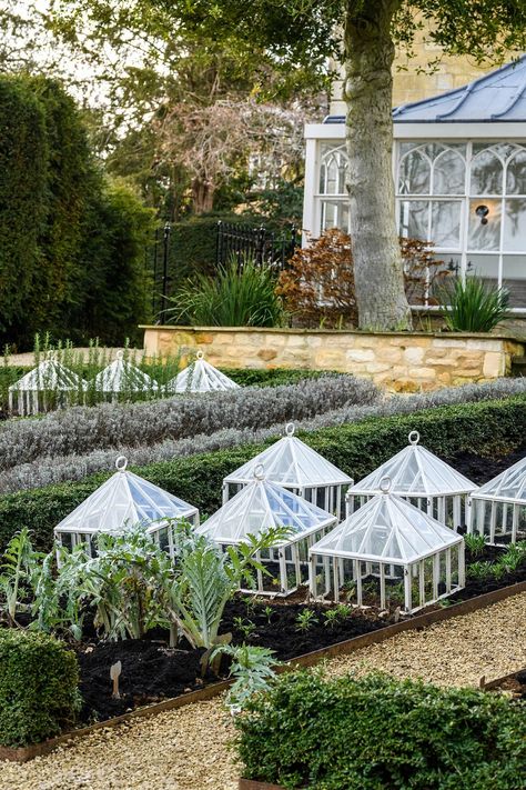 Garden Cloches, Gardens Illustrated, Garden Cloche, Homemade Garden, Back Gardens, Pitched Roof, Raised Beds, Growing Vegetables, Little Houses