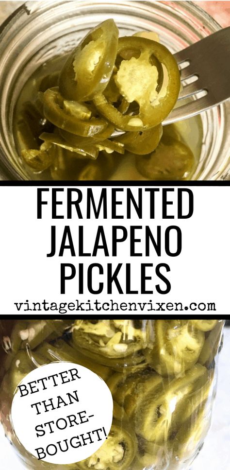 Fermented Jalapenos, Fermented Pickles, Jalapeno Recipes, Probiotic Benefits, Gut Health Recipes, Fermentation Recipes, Fermented Vegetables, Pickling Jalapenos, Fermented Foods