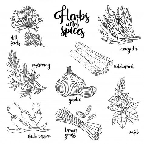 Herbs Illustration, Recipe Drawing, Spice Jar Labels, Cosmetic Packaging Design, Magick Book, Vector Food, Letterhead Design, Spices And Herbs, Herbs And Spices