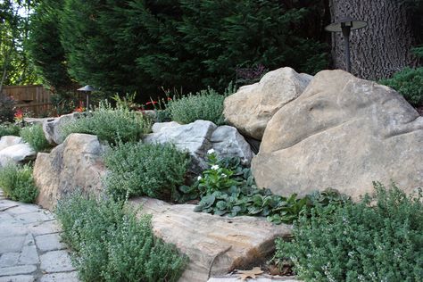 Pool 5  Boulder wall with lemon-scented thyme Ideas Around Trees, Boulder Garden, Landscaping Grasses, Mailbox Landscaping, Landscaping With Boulders, Backyard Garden Layout, Garden Waterfall, Rock Landscaping, Rock Garden Landscaping