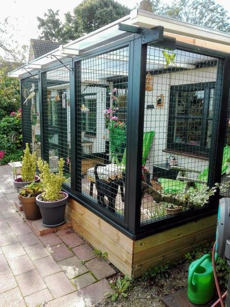 a cozy and chic cat enclosure with potted blooms and greenery, trees, outdoor furniture for a cat to enjoy Turn Shower Into Tub, Enclosed Deck, Communicable Diseases, Katt Diy, Cat Enclosures, Balkon Decor, Cat Patio, Tanaman Indoor, Outdoor Cat Enclosure