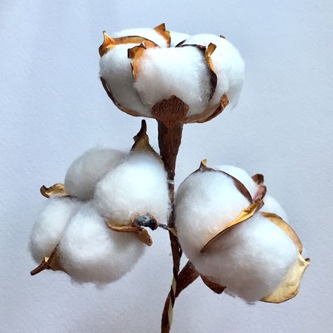 Diy Cotton Flowers, Diy Natal, Cotton Decor, Cotton Stems, Cotton Plant, Cotton Flower, White On White, Paper Heart, Paper Flowers Diy