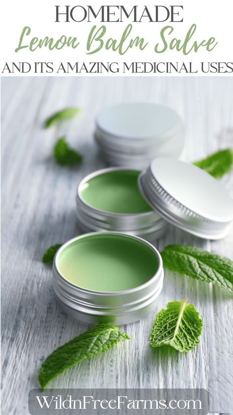 homemade lemon balm salve Lemon Balm Salve, Lemon Balm Recipes, Herbal Salve Recipes, Healing Salve Recipe, Melissa Officinalis, Herbal Medicine Recipes, Herbal Remedies Recipes, Salve Recipes, Herbal Salves