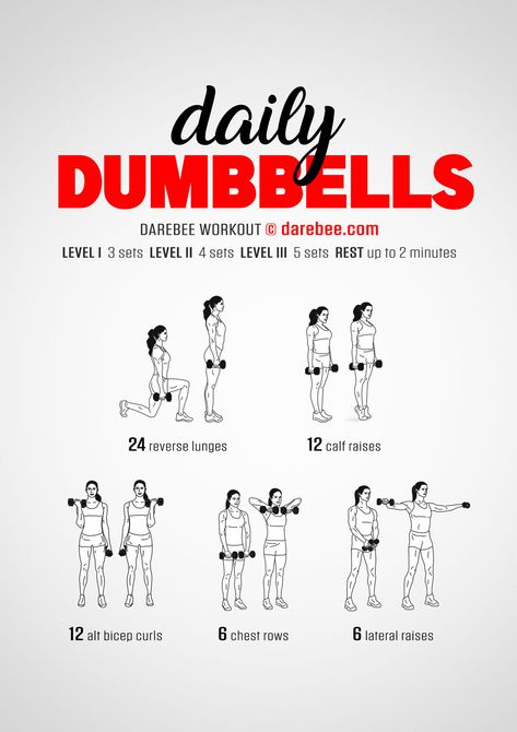 Beginners Dumbbell Workout, 2 Dumbbell Workout, Dumbbell Workout For Posture, Women’s Full Body Dumbbell Workout, At Home Workouts Dumbbells, 15 Minute Dumbbell Workout, Beginner Workout With Dumbbells, Dumbell Workout Beginner, Emom Workout Dumbbells