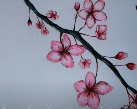 How To Draw Flower Petals Step By Step, Cherry Blossom Drawing Easy, Easy Cherry Blossom Drawing, How To Draw Cherry Blossoms, Drawing Of Cherry Blossoms, Cherry Blossom Drawing Simple, Cherry Blossom Tree Drawing, Blossom Tree Drawing, Chinese Blossom