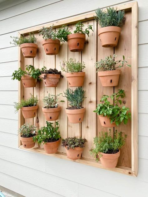 Mason jar herb garden