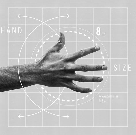 Ven Diagram Design Ideas, Anatomical Study, Scientific Design, Vitruvian Man, Technical Illustration, Visual Language, Still Photography, Business Innovation, Communication Art