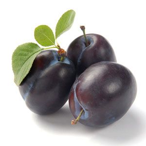 For a healthy lunchtime snack, pack your child prune plums, which are less tart than regular plums and don't burst easily inside lunch boxes. #backtoschool #lunchtime Plum Benefits, Prune Plum, Family Snacks, Plum Pudding, Plum Tree, Health Recipes, Health Nut, Nutritious Snacks, Samos