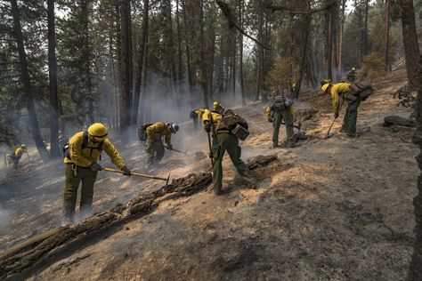 Wildland Firefighting, Us Forest Service, Wildland Fire, Wildland Firefighter, Future Dreams, Wild Fire, Trees Nature, Environmental Conservation, Blue Forest