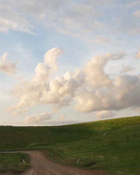 Landscape Photography Countryside Dreamy Clouds Naure the | Etsy India Green Field, Cloudy Sky, Lush Green, Color Photography, The Middle, Blue Sky, Sheep, Lush, Australia