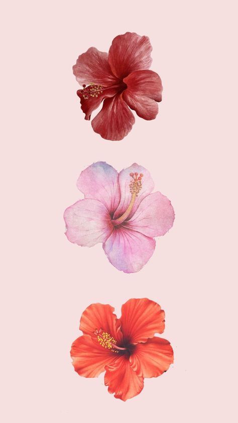 Cute Summer Wallpapers, Phone Wallpaper Patterns, Wallpaper Iphone Summer, Cute Patterns Wallpaper, Iphone Wallpaper Photos, Pretty Wallpaper Iphone, Tapeta Pro Iphone, Summer Wallpaper, Pink Summer