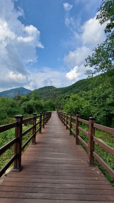 Quiet Places Nature, Senery Pic Landscape, Bridge Background, Glowworm Caves, Beautiful Nature Photography, Reaching For The Sky, Wooden Path, Beautiful Roads, Green Country