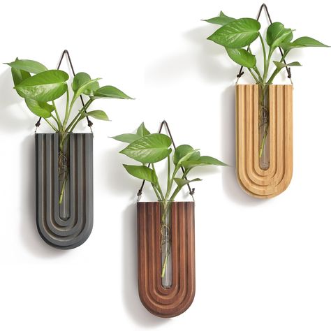 PRICES MAY VARY. [Lovely Wall Decor] – Add a touch of rustic charm to your home decor with our handcrafted wall propagation stations. These stations are perfect for displaying any type of plant, from fresh to dry. The combination of Boho and farmhouse style is sure to complete your home décor and add a touch of greenery to any room. [Natural & Eco-friendly] – They are handmade from 100% Natural Pine Trees, which are solid wood, stained, and sealed with wax oil. Due to the nature of wood, each is Gold Wall Vases, Plant Shelf Wall Bathroom, Wall Art Planters, Boho Room Wall Shelves, Mirror And Hanging Plant, Houseplant Wall Shelves, Living Wall Pots & Planters, Rustic Wall Flower Holder, Boho Bedroom Dried Flowers