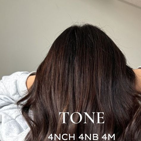 Chardonnay | Abbotsford Hair Stylist on Instagram: "all over brunette toner formula 🤎 

using @redkenpro shades eq

tone: 4nch + 4nb + 4m

don't forget to save this formula! 

#redkenshadeseq #redkenartist #chocolatebalayage #balayageartist #balayageeducation #haireducator #redkenobsessed #redkenshades #redkensalon #redkencolor #balayageinspo #balayageartists #balayageexpert #balayagecolor #richbrunette #balayagespecialist #hairinspo #brunettehair #brunettebalayage #bellamihair #bellami #bellamihairpro #brunettehaircolor #bellamihairextensions #brunetteseason #hairstylistlife #hairstylist #fallhairinspo #fallhairtrends #fallhaircolor ⁠" Shades Eq Chocolate Brown Formula, All Over Brunette, Shades Eq Formulas Brunettes, Brunette Toner, Color Formulations, Brown Hair Color Chart, Bellami Hair Extensions, Hair Color Mahogany, Mahogany Hair