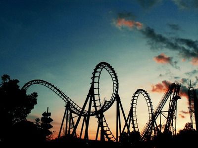 rollercoaster Emotional Rollercoaster, Roller Coaster Ride, Roller Coasters, About Quotes, Amusement Parks, Amusement Park, Roller Coaster, True Stories, Favorite Quotes