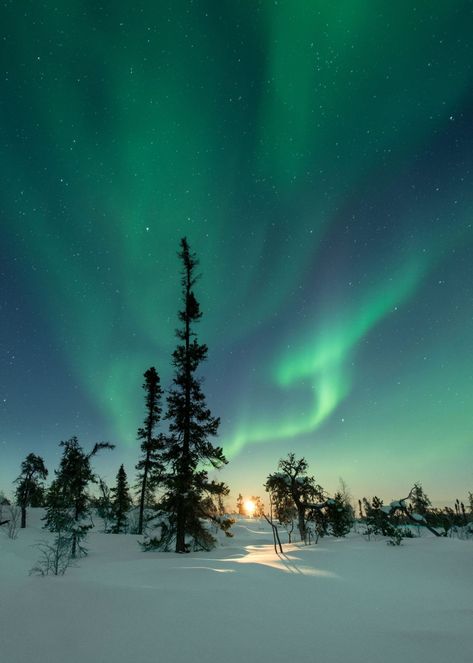 Where can you see the Northern Lights in Finland? Northern Lights Photography, Finland Travel, Lapland Finland, See The Northern Lights, Tromso, The Northern Lights, Dream Travel Destinations, The Aurora, Dream Holiday