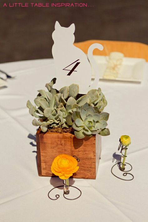 Table Numbers Ideas, Cat Table, Succulent Centerpiece, Country Ranch, Box Table, Succulent Centerpieces, Jewel Tone Wedding, Cat Wedding, Bridal Shower Diy