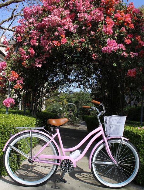 Pink Bycicle Vintage Bicycles, Bicycle For Women, Cute Bikes For Women, Pink Bicycle Aesthetic, Pink Beach Cruiser, Cruiser Bike Basket, Cute Bikes, Beach Cruiser Bikes Women, Spring Bike