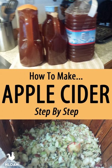 Winter Canning, Diy Cider, Canning Jelly, Apple Cidar, Apple Cider Juice, Apple Cider Press, Make Apple Cider, Diy Apple Cider, Homemade Cider