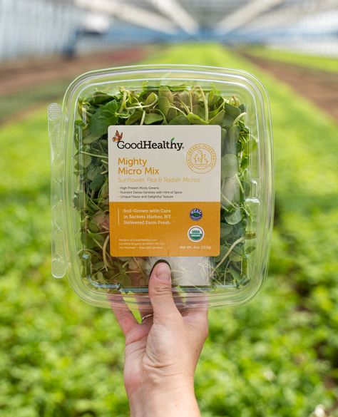 Packaging Microgreens, Microgreens Branding, Microgreens Logo, Microgreen Packaging, Microgreens Packaging, Microgreens Business, Pea Microgreens, Sunflower Microgreens, Logo Om