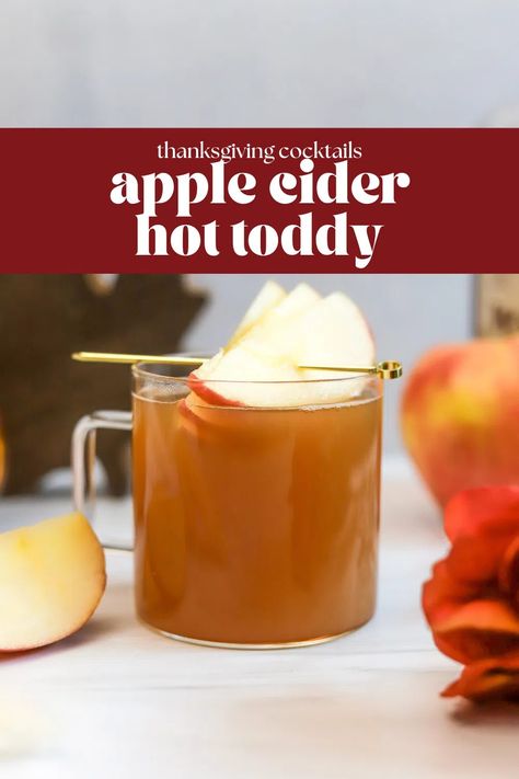 Apple Cider Hot Toddy - bits and bites Apple Cider Hot Toddy Crockpot, Apple Cider Hot Toddy Recipe, Hot Apple Toddy Recipe, Hot Toddy Crockpot Recipe, Hot Toddy Recipe Apple Cider, Hottie Toddy Recipe, Hot Apple Cider Cocktail, Hot Toddy Recipe For Colds, Apple Cider Hot Toddy