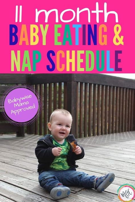 Feeding and sleeping schedule for an 11 month old baby. You will also find milestones, information on bottles and solid food, naps and nighttime sleep. William is climbing stairs now and crawling everywhere. He's on 2 naps and 2 bottles! He'll soon transition to one bottle.   #babysleep #babysleeptips #babywise #babyschedule #parenting101 #parentingtipsandtricks #11monthsold #parentinghacks 11 Month Old Schedule, 10 Month Old Schedule, Ideal Schedule, Sleeping Schedule, 11 Month Old Baby, Wonder Weeks, Baby Wise, Toddler Parenting, Climbing Stairs