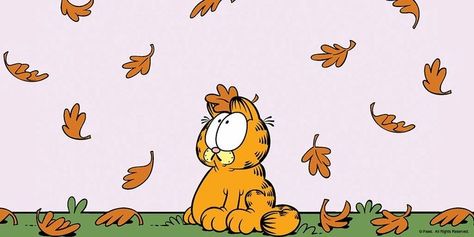 Garfield Banner Discord, Garfield Fall Wallpaper, Garfield Computer Wallpaper, Garfield Wallpaper Laptop, Garfield Desktop Wallpaper, Garfield Laptop Wallpaper, Garfield Wallpaper Desktop, Garfield Header, Garfield Background