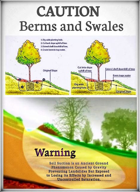 Water and Land Restoration Dam Ideas, Gondar Ethiopia, Permaculture Farming, Backyard Creations, Drainage Solutions, Permaculture Gardening, Permaculture Design, Edible Landscaping, Food Forest