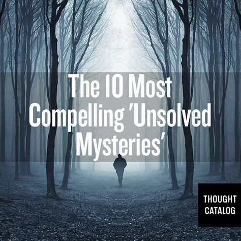 Crazy Stories, Unsolved Mystery, Unexplained Mysteries, Scary Stuff, Mystery Stories, Mystery Of History, Thought Catalog, Weird Stories, Haunted Places