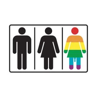 Lady Boy Male Female Toilet Sign LGBT Rainbow Flag T-Shirt Toilet Icon, Queer Rainbow, Rainbow Flag Lgbt, Rainbow Sign, Lgbtq Quotes, Boy Sign, Toilet Sign, Rainbow Flag, Flag Tshirt