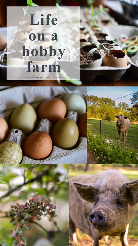 Have you ever wonder what life on hobby farm is like? Let me take you on a tour around our farm and garden plans for this year. Hobby Farms Layout, Barn Layout, Farm And Garden, Homesteading Diy, Homestead Farm, Farm Layout, Hobby Farm, Farm Tour, Garden Plans