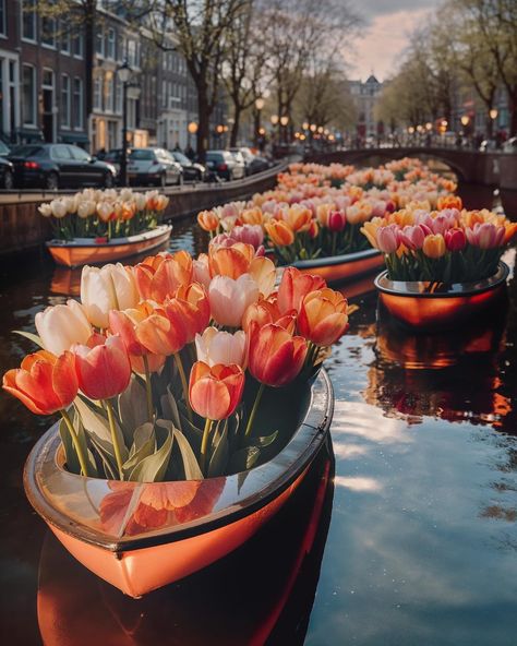 Did you know that we have a Tulip Distribution System in Amsterdam? In spring, when tulips are in season, various vehicles drive around the city delivering tulips to their final destinations. Whether you need flowers for your store to sell, want to have flowers delivered to a loved one, or simply wish to have a bouquet on your table, the Tulip Distribution System takes care of it. In this way, it’s ensured that the flowers are delivered fast, allowing you to enjoy your bouquet of tulips for e... Tulip Festival Amsterdam, Amsterdam In Spring, Amsterdam Flowers, Holland Flowers, Movie Vibes, Amsterdam Tulips, Bouquet Of Tulips, Garden Food, Tulip Festival