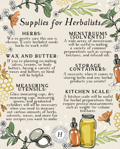 Beginner Herbalist, Herbalism For Beginners, Foraging Bag, Make Your Hair Grow Faster, Herbal Education, Herbal Medicine Recipes, Hair Grow Faster, Medicinal Herbs Garden, Medical Herbs