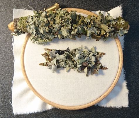 How To Make A Lichen Covered Branch  •  Free tutorial with pictures on how to embroider art in under 9 minutes How To Embroider Moss, Lichen Embroidery, Art Fibres Textiles, Lavender Embroidery, A Level Textiles, Lichen Moss, Embroidery Online, Textiles Projects, Flower Craft