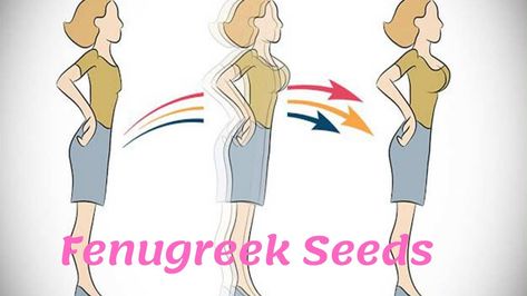 It Proven That fenugreek seeds help in Breast Enlargement this can be taken seed or powder form fenugreek seeds also have benefits for Breastfeeding and Increase Libido than Breast Enlargement. What are Fenugreek Seeds Fenugreek Seeds For Breast Enlargement - Fenu is Latin for “hay” so Fenugreek means “Greek Hay”. Fenugreek Seeds Benefits, Fenugreek Benefits, Increase Libido, Seeds Benefits, How To Get Bigger, Breast Workout, Fenugreek Seeds, Winter Food, Breast Milk