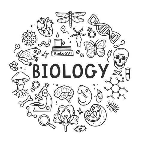 Science Doodles Biology, Biologi Aesthetic, Biology Drawing Ideas, Biology Cover Page Design, Biology Doodles, Biology Aesthetic, Elements Science, Biology Drawing, File Decoration