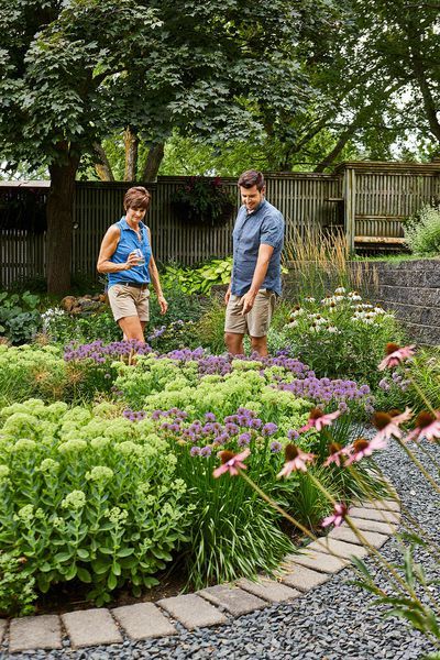 Pollinator Garden Ideas, Pollinator Garden Design, Low Maintenance Backyard, Naturalistic Garden, Dutch Gardens, Lush Landscape, Hosta Gardens, Low Maintenance Landscaping, English Cottage Garden